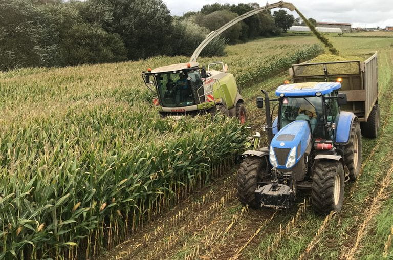 Maquinaria cosechando